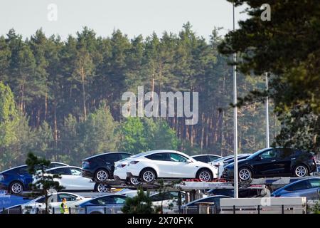 17 maggio 2024, Brandeburgo, Grünheide: Le auto Tesla sono parcheggiate per il trasporto ai margini della foresta nella parte orientale del sito Tesla Gigafactory. Giovedì sera, i rappresentanti municipali di Grünheide hanno approvato un piano di sviluppo che spiana la strada a un'espansione della fabbrica Tesla. Il produttore di automobili desidera espandere il proprio sito per includere un deposito merci e aree logistiche. Foto: Soeren Stache/dpa Foto Stock