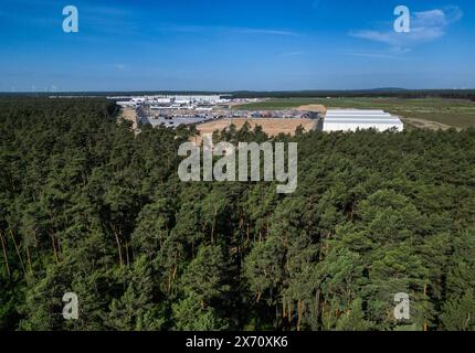 17 maggio 2024, Brandeburgo, Grünheide/ OT Hangelsberg: Una fitta foresta si trova nella parte orientale del sito Tesla Gigafactory (foto scattata con un drone). Giovedì sera i rappresentanti municipali di Grünheide hanno approvato un piano di sviluppo che spiana la strada a un'espansione della fabbrica Tesla. Il produttore di automobili desidera espandere il proprio sito per includere un deposito merci e aree logistiche. Foto: Soeren Stache/dpa Foto Stock