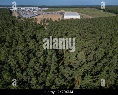 17 maggio 2024, Brandeburgo, Grünheide/ OT Hangelsberg: Una fitta foresta si trova nella parte orientale del sito Tesla Gigafactory (foto scattata con un drone). Giovedì sera i rappresentanti municipali di Grünheide hanno approvato un piano di sviluppo che spiana la strada a un'espansione della fabbrica Tesla. Il produttore di automobili desidera espandere il proprio sito per includere un deposito merci e aree logistiche. Foto: Soeren Stache/dpa Foto Stock