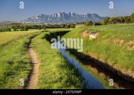 Il canale Séquia de Manresa e il monte Montserrat sullo sfondo, in una mattina di primavera (Bages, Barcellona, ​​Catalonia, Spagna) Foto Stock