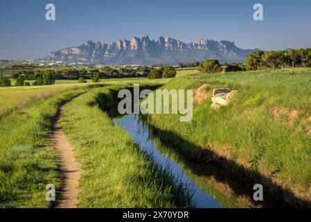 Il canale Séquia de Manresa e il monte Montserrat sullo sfondo, in una mattina di primavera (Bages, Barcellona, ​​Catalonia, Spagna) Foto Stock