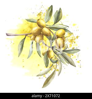 Ramo di ulivo con foglie, bacche verdi su schizzi di acquerello giallo, sfondo macchiato. Clipart botanico per la progettazione di biglietti d'auguri, etichette Foto Stock