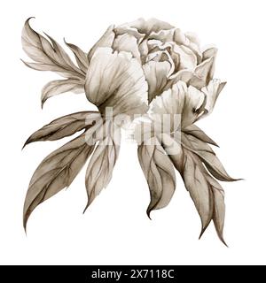 Bouquet monocromatico grisaille di acquerello disegnato a mano con peonia, tulipano, fiori di rosa, boccioli e foglie. Isolato su sfondo bianco. Inviti Foto Stock