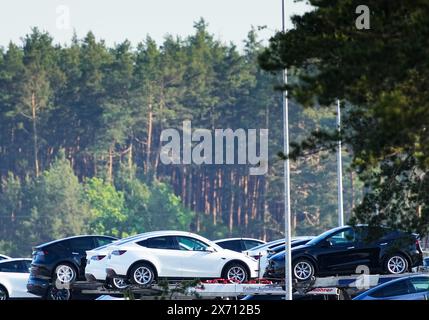 17 maggio 2024, Brandeburgo, Grünheide: Le auto Tesla sono parcheggiate per il trasporto ai margini della foresta nella parte orientale del sito Tesla Gigafactory. Giovedì sera, i rappresentanti municipali di Grünheide hanno approvato un piano di sviluppo che spiana la strada a un'espansione della fabbrica Tesla. Il produttore di automobili desidera espandere il proprio sito per includere un deposito merci e aree logistiche. Foto: Soeren Stache/dpa Foto Stock