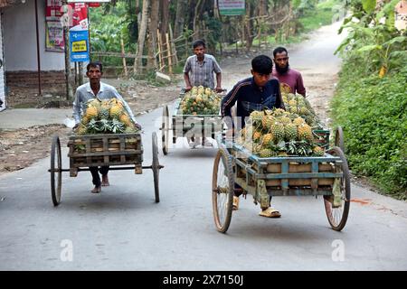 Dacca, Bangladesh. 15 maggio 2024. Venditori di frutta al mercato durante la stagione di raccolta dell'ananas a Srimangal, Moulvibazar. Dacca, Bangladesh, il 16 maggio 2024. Foto di Habibur Rahman/ABACAPRESS. COM credito: Abaca Press/Alamy Live News Foto Stock