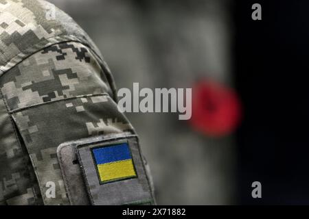 Soldati ucraini. Bandiera Ucraina in uniforme militare. Giorno della memoria. Poppy Day. Foto Stock