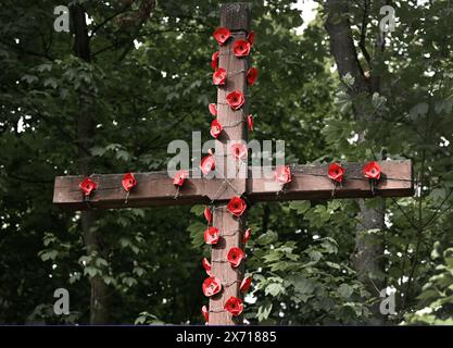 Una croce decorata con papaveri rossi nel giorno della memoria. Poppy Day. Foto Stock