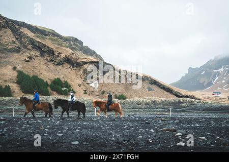 Vik, Islanda - 15 marzo 2023: Tour a cavallo nella spiaggia di Reynisdrangar, Vik Foto Stock