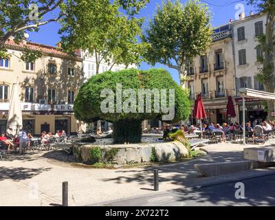 Salon-de-Provence, Francia - 21 agosto 2016: Fontana del muschio chiamata anche fontana dei funghi nella città di Nostradamus, Salon de Provence, Francia. Foto Stock