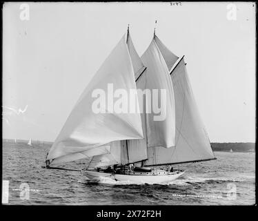 Uncas, negative cracked, Lower Left., Detroit, Catalogue J (1901) lists as N.Y.Y.C. Cruise, ago. 10, 1900., '199' on negative., Detroit Publishing Co. N. 05948., Gift; State Historical Society of Colorado; 1949., heading(s) in 610 Field(s) UnVerified, Uncas (Schooner) , New York Yacht Club. , Yachts. , Yacht club. Foto Stock