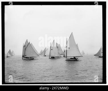 All'inizio, Larchmont, attribuzione basata sullo stile del titolo e della numerazione., probabilmente Larchmont Yacht Club., 'Zelica', 'Terrapin', 'Adele Mae', 'Feydili', 'Flounder' e 'Annie J.' sotto barche da sinistra a destra su negative., '63' su negative., No Detroit Publishing Co. No., Gift; State Historical Society of Colorado; 1949, Zelica (Yacht) , Terrapin (Yacht) , Adele Mae (Yacht) , Feydili (Yacht) , Flounder (Yacht) , Annie J. (Yacht) , Yachts. , Regate. Foto Stock