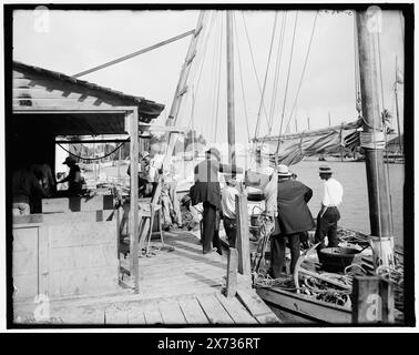 Miami, Flag., i pesci attraccano lungo il Miami, titolo da giacca., 'G 7697' su negative., Detroit Publishing Co. N. 0500046., Gift; State Historical Society of Colorado; 1949, moli e moli. , Fiumi. , Industria della pesca. , Stati Uniti, Florida, Miami. , Stati Uniti, Florida, Miami River. Foto Stock