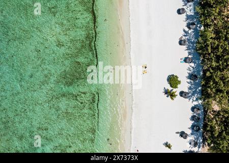 Isola di Ile aux Cerfs con idilliaco scenario di spiaggia, mare di acquamarina e sabbia soffice, Ile aux Cerfs, Mauritius, Oceano Indiano, Africa. Ile aux Cerf a Mauritius Foto Stock