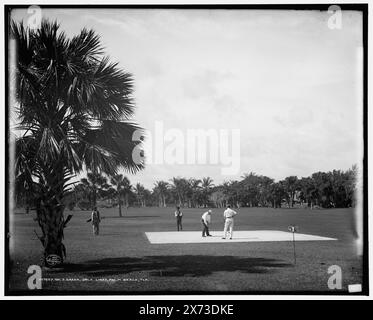 No. 3 green, golf links, Palm Beach, Flag., '135' su negative., Detroit Publishing Co. n. 017627., Gift; State Historical Society of Colorado; 1949, Golf. , Stati Uniti, Florida, Palm Beach. Foto Stock