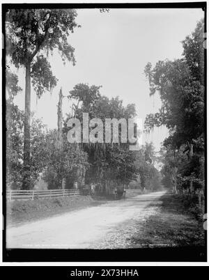 Bay Shell Road, Mobile, Ala., Data basata su Detroit, Catalogo J Supplement (1901-1906)., '433' in negativo., Detroit Publishing Co. N.. 013519., Gift; State Historical Society of Colorado; 1949, Streets. , Stati Uniti, Alabama, Mobile. Foto Stock