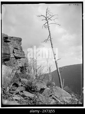 Sunset Rock, Kaaterskill Clove, Catskill Mountains, N.Y., '340-G' su negative., Detroit Publishing Co. n. 014517., Gift; State Historical Society of Colorado; 1949, formazioni rocciose. , Passes (Landforms) , Stati Uniti, New York (State), Kaaterskill Clove. , Stati Uniti, New York (State), Catskill Mountains. Foto Stock