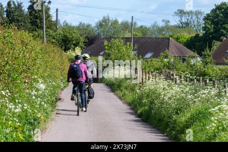 Due uomini in bicicletta lungo una strada di campagna con vergini ricoperti di fiori selvatici di prezzemolo mucca a maggio, Oxfordshire, Inghilterra, Regno Unito Foto Stock
