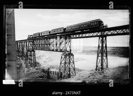 Encarnacion bridge, Attribution to Jackson based on Catalogue of the W.H. Jackson Views (1898)., Detroit Publishing Co. No 8469., Gift; State Historical Society of Colorado; 1949, Railroad Bridges. , Trestles. , Ferrovie. , Messico, Encarnacion de Diaz. Foto Stock