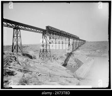 Ponte vicino a Encarnacion, Detroit Publishing Co. N. 03155., Gift; State Historical Society of Colorado; 1949, Trestles. , Ponti ferroviari. , Messico, Encarnacion de Diaz. Foto Stock