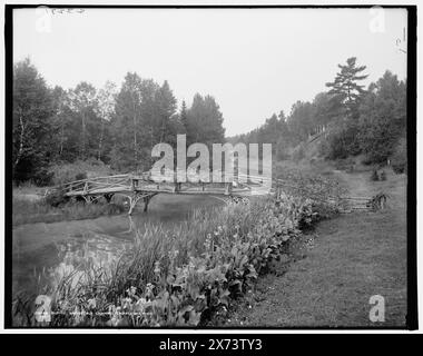 Ponte rustico, vecchio canale, Charlevoix, Mich., 'G 3271' su negative., Detroit Publishing Co. N.. 018998., Gift; State Historical Society of Colorado; 1949, Pedestrian Bridges. , Stati Uniti, Michigan, Charlevoix. Foto Stock