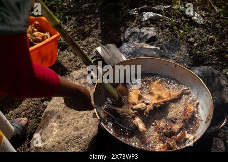 Donna indigena peruviana che frigge Cuy (cavia) in una padella su legna da ardere, cibo tradizionale delle Ande Foto Stock