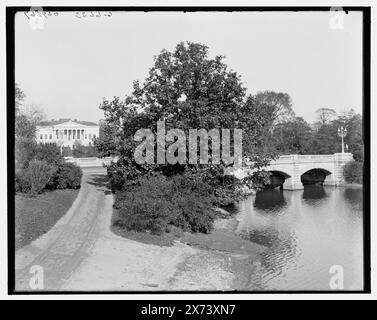 Buffalo Historical Society Building e il ponte sul lago, Delaware Park, Buffalo, N.Y., titolo da giacca. "g 6633" in negativo. Detroit Publishing Co. n. 039267., Gift; State Historical Society of Colorado; 1949, Lakes & Pond. , Ponti. , Parchi. , Società storiche. , Strutture delle organizzazioni. , Stati Uniti, New York (Stato), Buffalo. Foto Stock