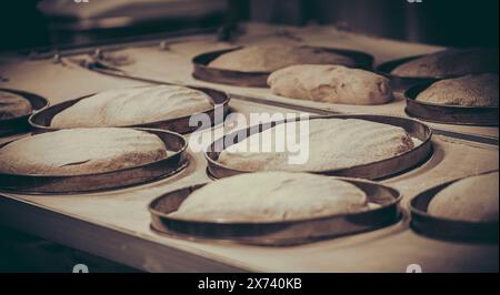 I vassoi da forno contengono dei vuoti di pane, preparati per essere cotti in un forno. Foto Stock