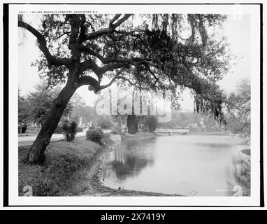 The Lake, Magnolia Cemetery, Charleston, S.C., Detroit Publishing Co. N. 072481., Gift; State Historical Society of Colorado; 1949, Lakes & Pond. , Cimiteri. , Stati Uniti, Carolina del Sud, Charleston. Foto Stock