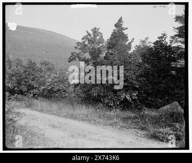 Kaaterskill Mountain with Otis Elevating Railway, Catskill Mountains, N.Y., videodisc images out of sequence; actual left to right order is 1A-06384, 06383, 06382., '315-G' on left negative; '316-G' on center negative; '317-G' on right negative., Detroit Publishing Co. N. 010646 e 014493., Gift; State Historical Society of Colorado; 1949, Otis Railway. , Ferrovie inclinate. , Montagne. , Stati Uniti, New York (State), Catskill Mountains. Foto Stock