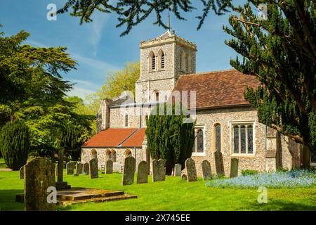 Pomeriggio primaverile alla chiesa di San Michele a St Albans, Hertfordshire. Foto Stock