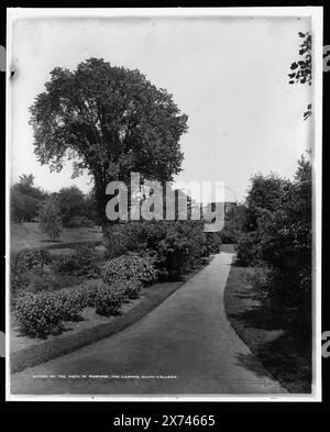 Sulla strada per il paradiso, il campus, Smith College, Detroit Publishing Co. No 017750., Gift; State Historical Society of Colorado; 1949, passerelle. , Università e college. , Stati Uniti, Massachusetts, Northampton. Foto Stock