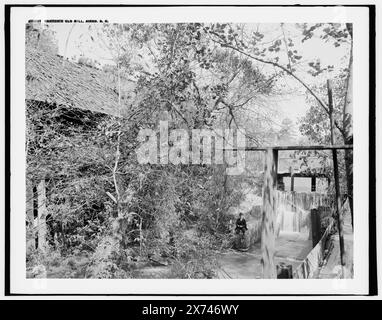 Barton's Old Mill, Aiken, S.C., Date based on Detroit, Catalogue P (1906)., '760-G' on negative., Detroit Publishing Co. N.. 016457., Gift; State Historical Society of Colorado; 1949, Mills. , Stati Uniti, Carolina del Sud, Aiken. Foto Stock