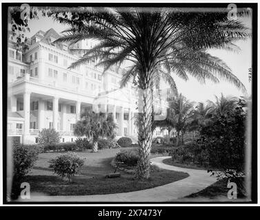 The Royal Poinciana Hotel, ingresso, Palm Beach, Flag., titolo da giacca., 'WHJ 85-02' in negativo., Detroit Publishing Co. n. 032739., Gift; State Historical Society of Colorado; 1949, Resorts. , Hotel. , Stati Uniti, Florida, Palm Beach. Foto Stock