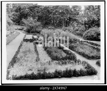 Gardens, Chestnut Hill, Brookline sic, Mass., corrispondente vetro trasparente (con lo stesso codice di serie) disponibile su videodisc frame 1A-31024., '14030' e 'T.E. Morri' su Transparency., Detroit Publishing Co. N. 073265., Gift; State Historical Society of Colorado; 1949, Estates. , Giardini. , Stati Uniti, Massachusetts, Newton. Foto Stock