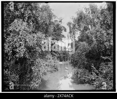 Forest Canal, Belle Isle Park, Detroit, Mich., 'G 5994' su negative., Detroit Publishing Co. No 071324., Gift; State Historical Society of Colorado; 1949, Parks. , Canali. , Stati Uniti, Michigan, Detroit. Foto Stock