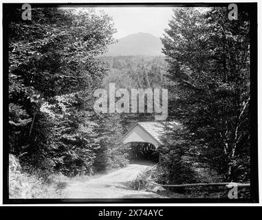 Sulla strada per il flume, Franconia Notch, WhiteMountains, Detroit Publishing Co. No 011775., Gift; State Historical Society of Colorado; 1949, Roads. , Ponti coperti. , Stati Uniti, New Hampshire, White Mountains. , Stati Uniti, New Hampshire, Franconia Notch. Foto Stock