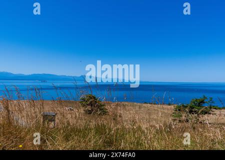 Splendido Fort Ebey State Park con vista su Admiralty Inlet, Washington, USA Foto Stock