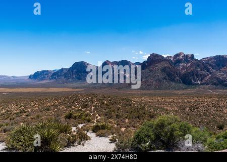 Splendida Red Rock Canyon National Conservation area, Las Vegas, Nevada, Stati Uniti Foto Stock