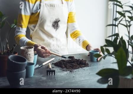 Macchie di sporco sul grembiule. Trapianto di piante domestiche femminili non riconoscibili. Foto Stock