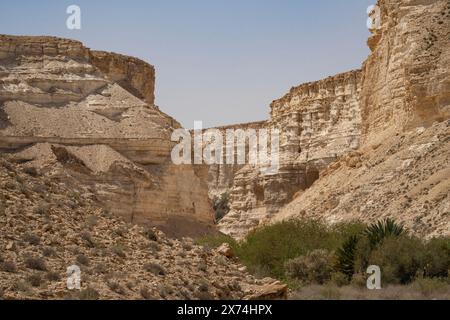 Le scogliere del canyon di Ein Avdat, nel deserto del Negev nel sud di Israele. Foto Stock