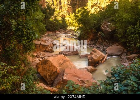 Vista panoramica dei massi nel Virgin River lungo la passeggiata lungo il fiume Zion Narrows all'interno dello Zion Canyon presso lo Zion National Park nello Utah meridionale. (USA) Foto Stock