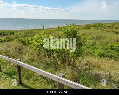 Vista del mare attraverso dune verdi, una ringhiera di legno corre lungo la costa, dune e sentieri escursionistici sul mare di wadden, nuvole nel cielo, nes Foto Stock