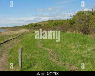 Paesaggio verde con cespugli e un sentiero naturale lungo la costa sotto un cielo nuvoloso, dune e sentieri escursionistici sul Mare di Wadden, nuvole nel cielo, nè Foto Stock