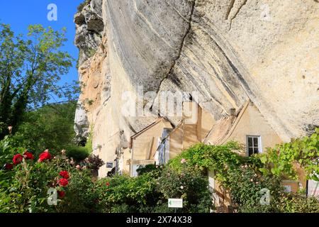 Sito preistorico di Laugerie-basse, rifugio roccioso nel comune di Les Eyzies in Dordogna, capitale mondiale della preistoria. Il fiume Vézère scorre a. Foto Stock