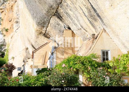 Sito preistorico di Laugerie-basse, rifugio roccioso nel comune di Les Eyzies in Dordogna, capitale mondiale della preistoria. Il fiume Vézère scorre a. Foto Stock