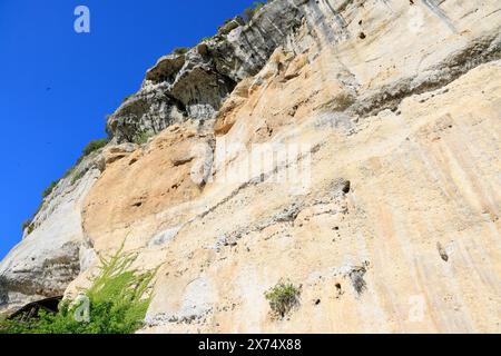 Sito preistorico di Laugerie-basse, rifugio roccioso nel comune di Les Eyzies in Dordogna, capitale mondiale della preistoria. Il fiume Vézère scorre a. Foto Stock