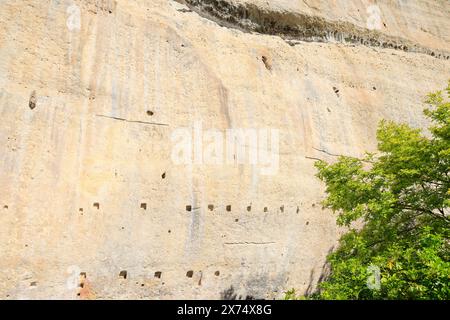 Sito preistorico di Laugerie-basse, rifugio roccioso nel comune di Les Eyzies in Dordogna, capitale mondiale della preistoria. Il fiume Vézère scorre a. Foto Stock