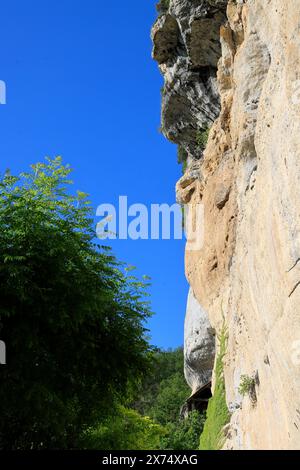 Sito preistorico di Laugerie-basse, rifugio roccioso nel comune di Les Eyzies in Dordogna, capitale mondiale della preistoria. Il fiume Vézère scorre a. Foto Stock