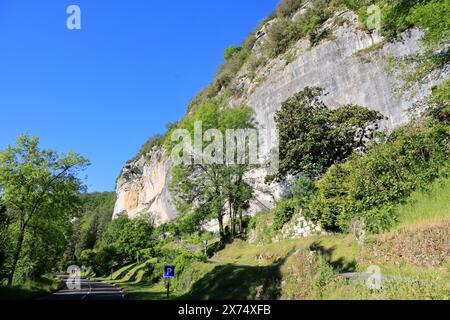 Sito preistorico di Laugerie-basse, rifugio roccioso nel comune di Les Eyzies in Dordogna, capitale mondiale della preistoria. Il fiume Vézère scorre a. Foto Stock