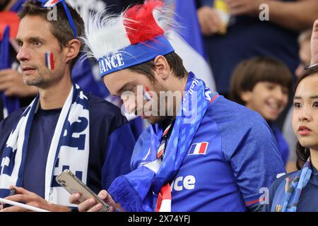 Doha, Qatar. 22esimo. novembre 2022. Tifosi francesi durante la partita tra Francia e Australia, gruppo D, Coppa del mondo FIFA Qatar 2022. Foto Stock